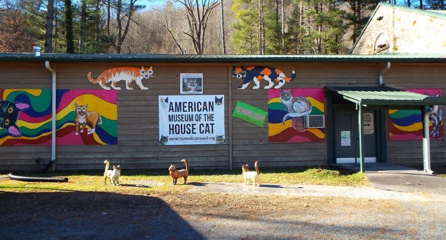 American House Cat Museum