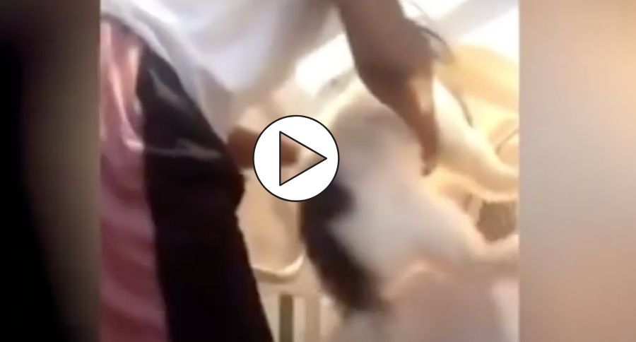 Animal Cruelty
