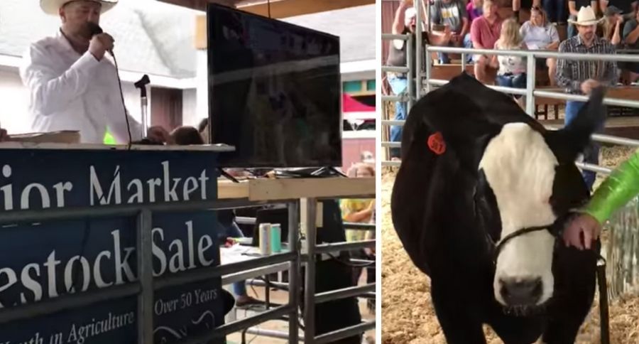 Livestock Auction