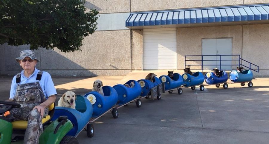 Dog Train
