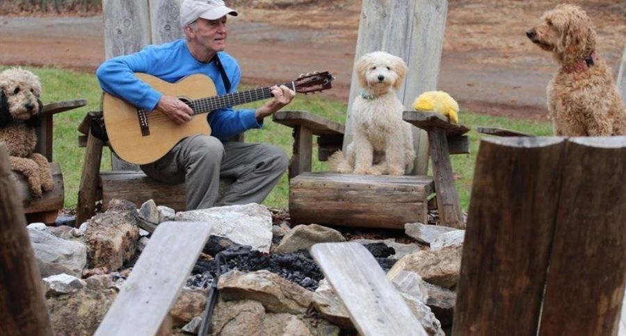 Campground For Dogs