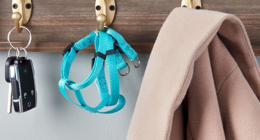 small dog harness