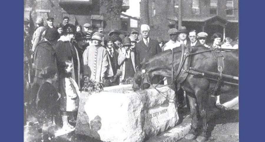 First US Animal Shelter