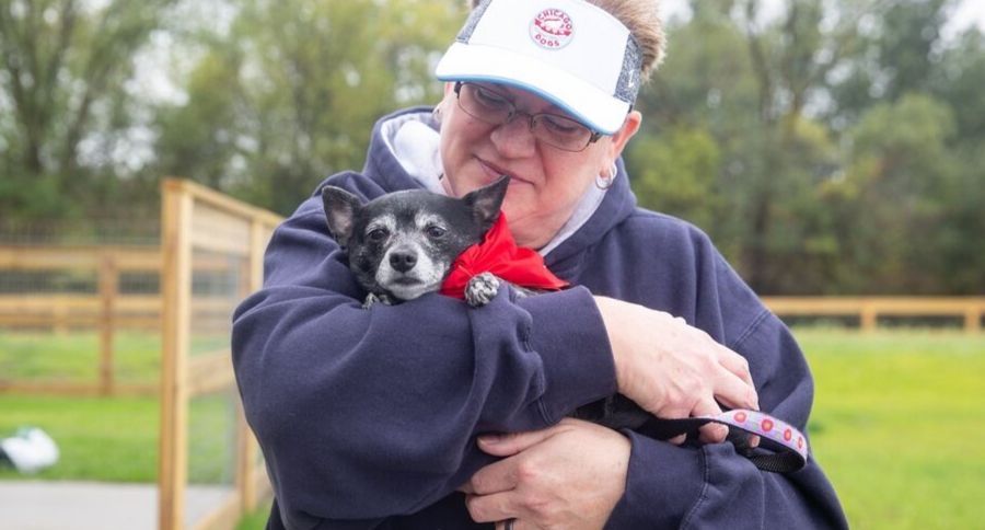 Senior Pet Adoption Center