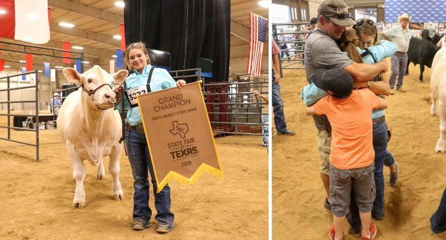 Granf Champion Steer