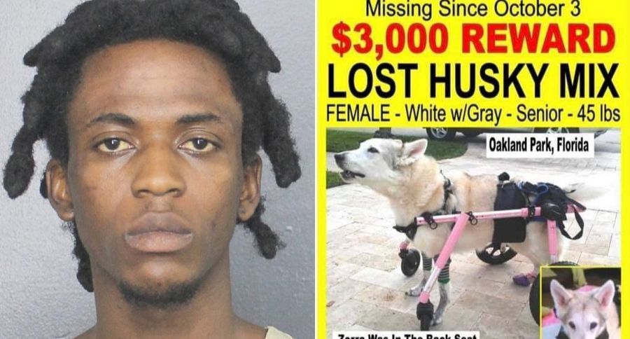 Man Arrested