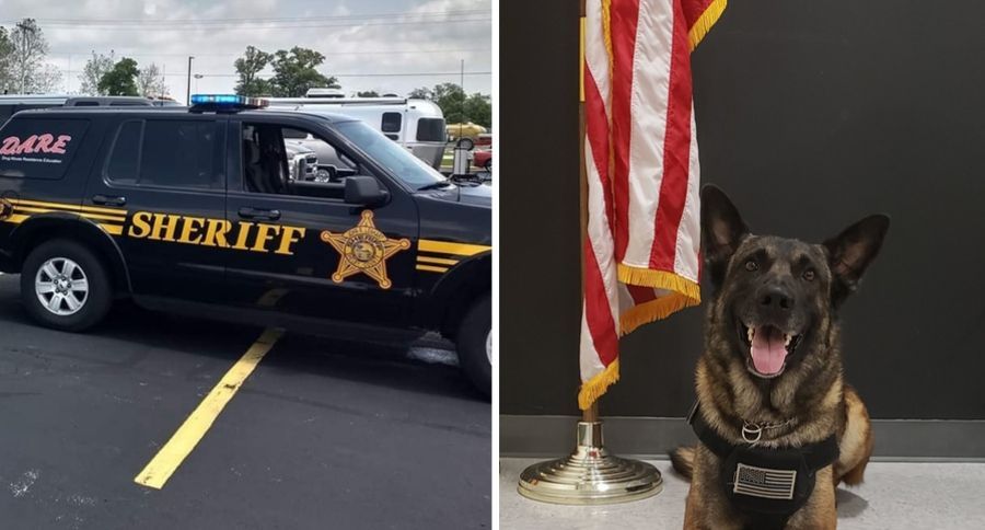 Police K9