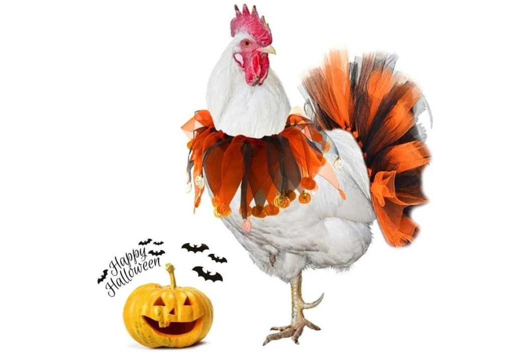 chicken costume