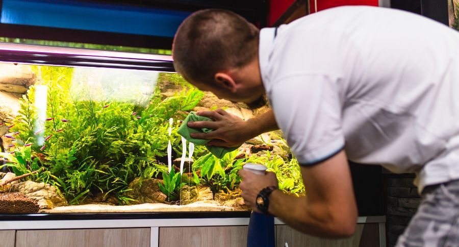 Fish Aquarium
