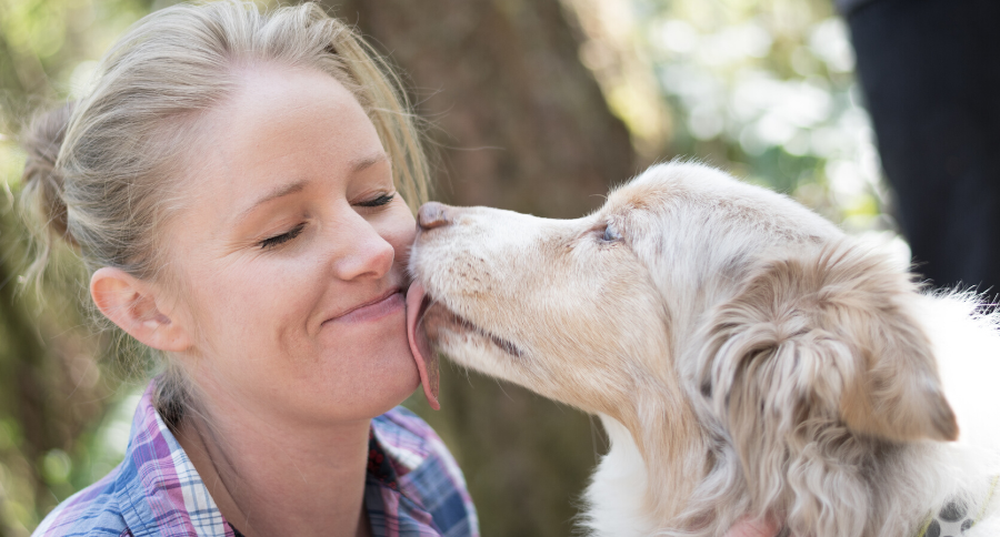 Why Dogs Lick People