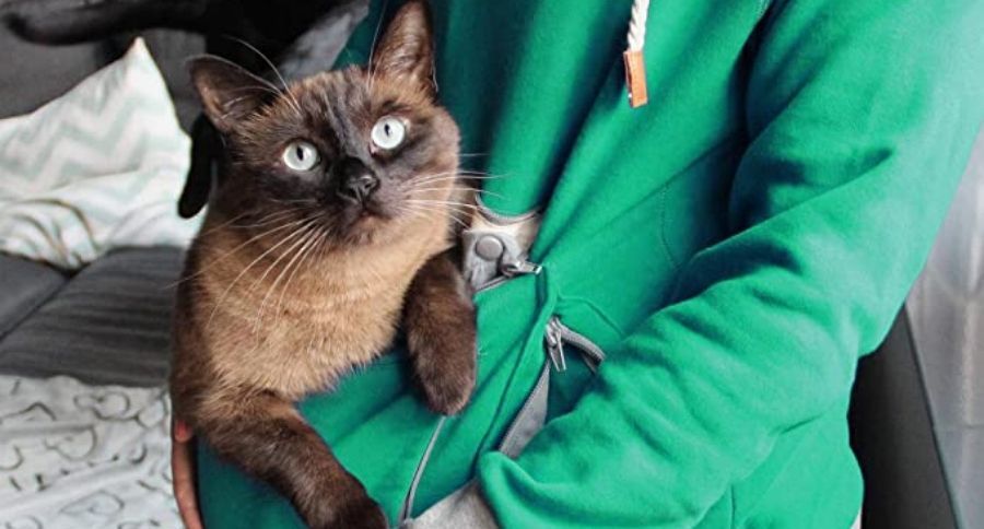 pet hoodie FI