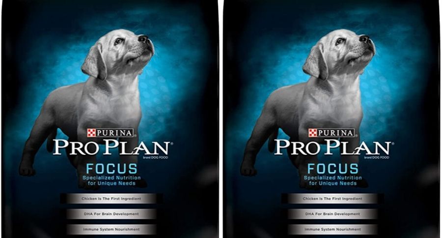 purina