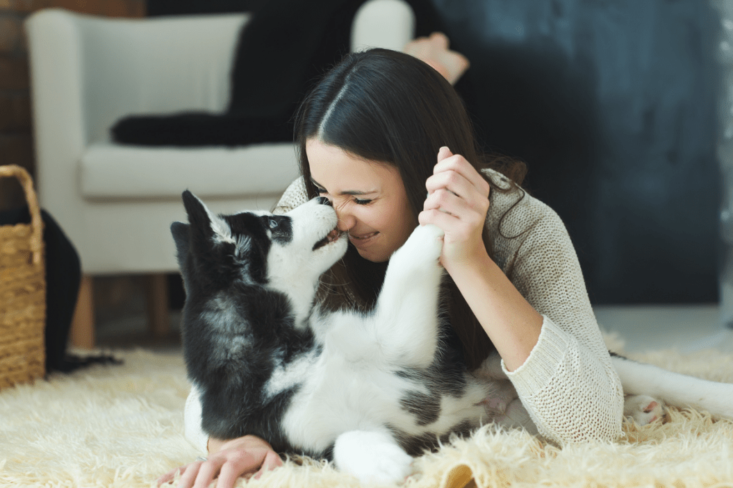Dogs, I Love You