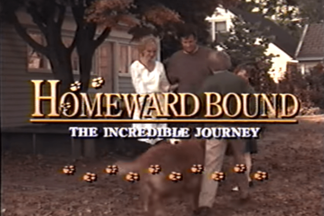 Homeward Bound
