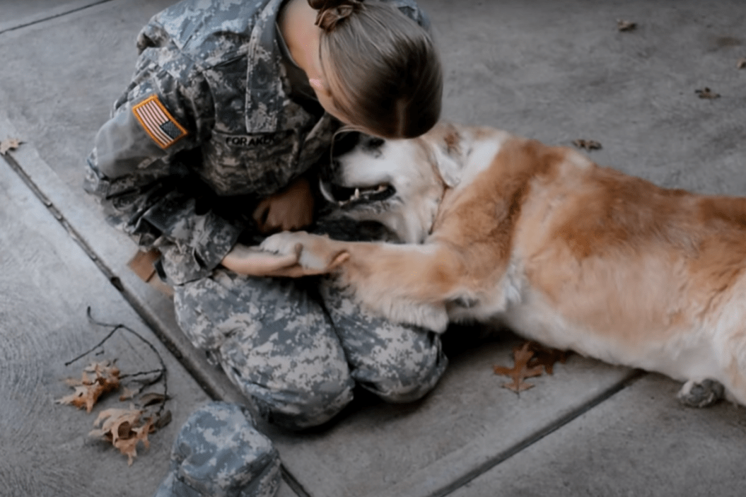 Senior Dog, Soldier Reunion