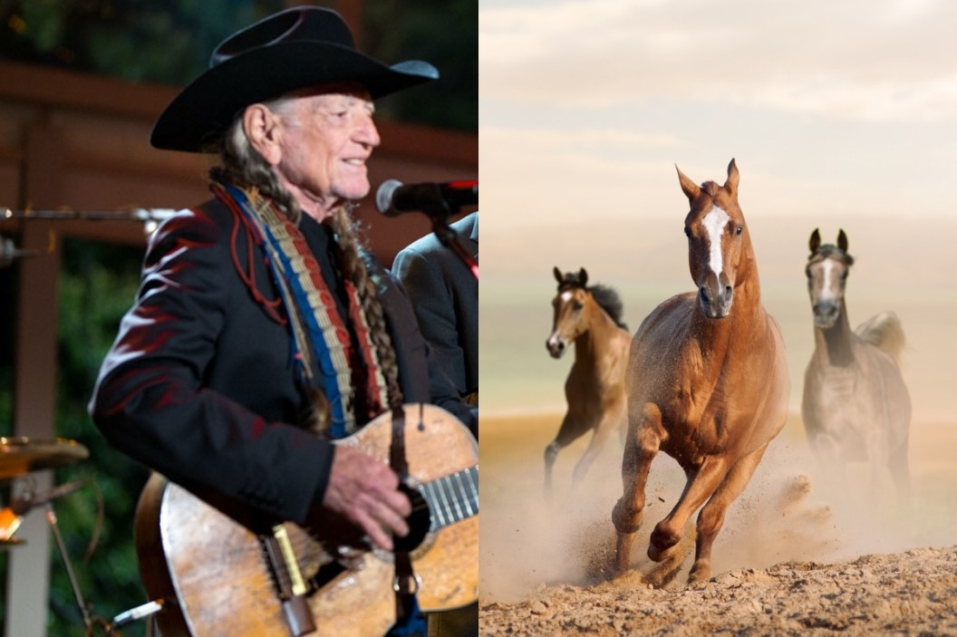 luck ranch Willie Nelson
