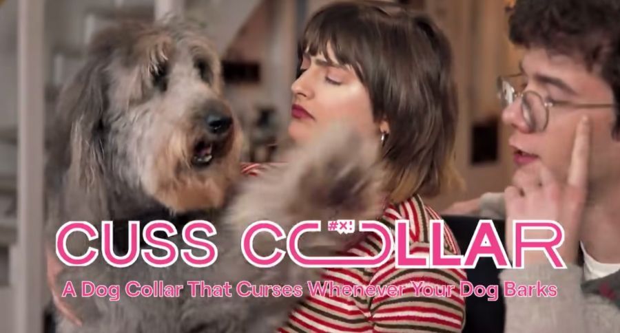 cuss collar