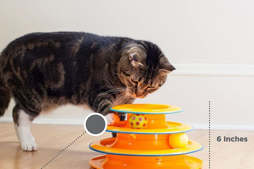 interactive cat toy