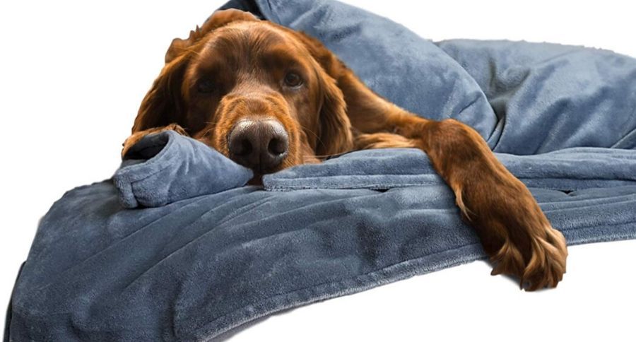 weighted blanket for dog