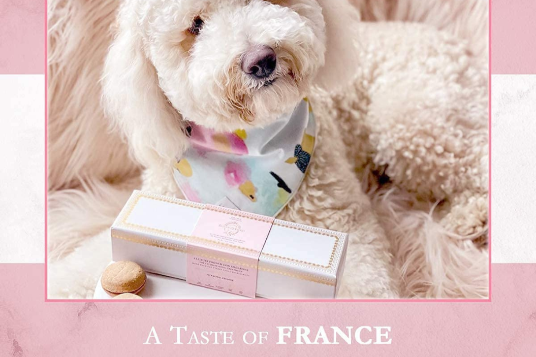 Bonne et Filou Dog Treats Dog Macarons Luxury Handmade Dog Gifts Dog Birthday Healthy and Delicious Gourmet Dog Snack with All-Natural Ingredients