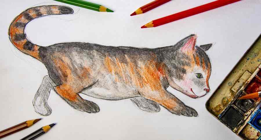How To Draw A Cat