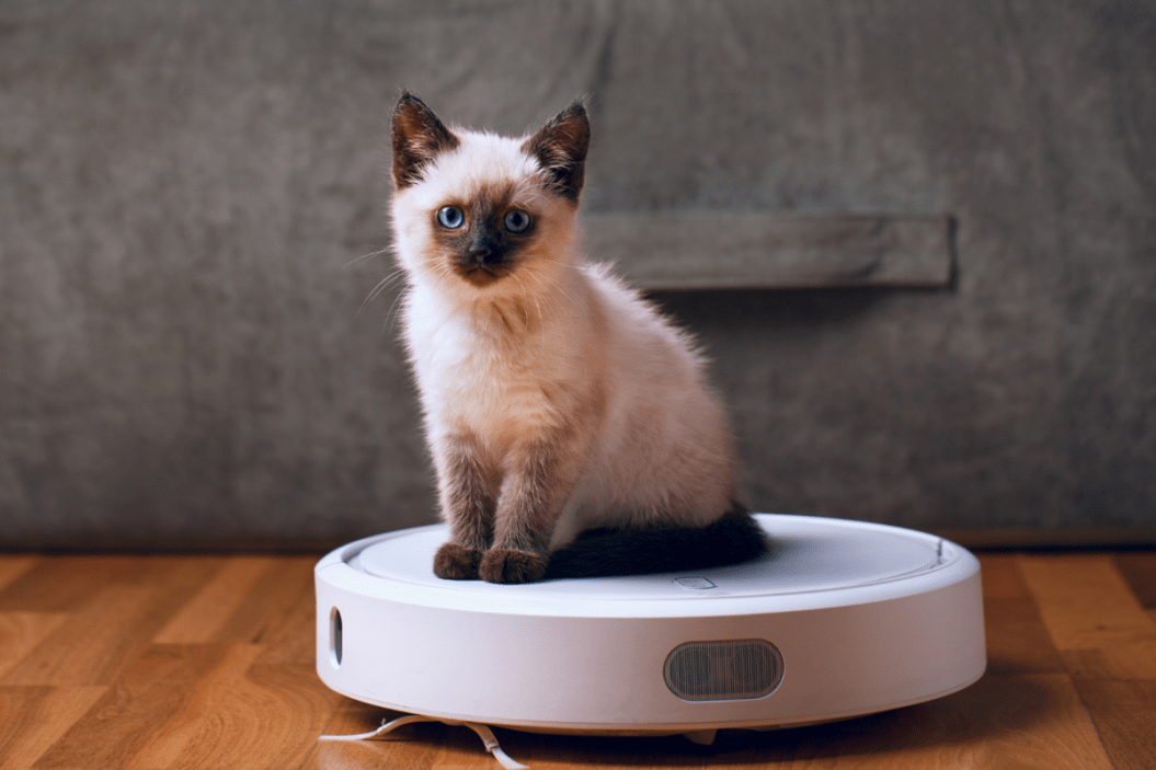 siamese cat riding roomba washing machine hair catcher
