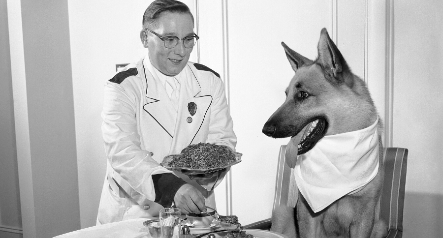 Rin Tin Tin