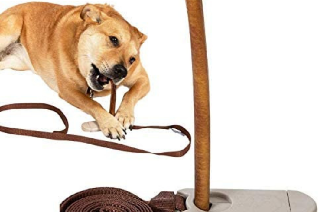 Bully Stick Companion | Locks onto Bully Stick | Prevents Choking | Keeps Treat Off Couch (rug, etc) | Makes Chewing Easy| Simple to Use | Keeps Aggressive Chewers away from Children | Dogs to 30 lbs.