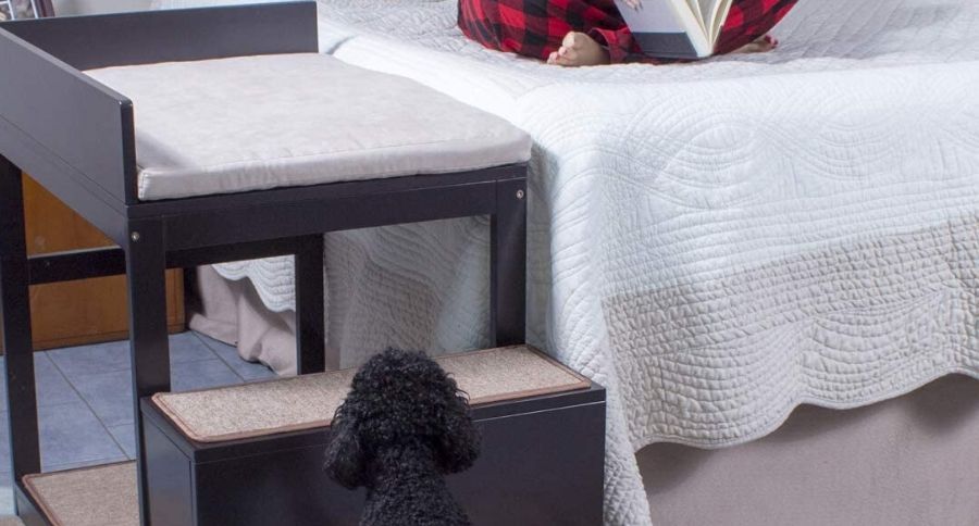 pet bunk bed