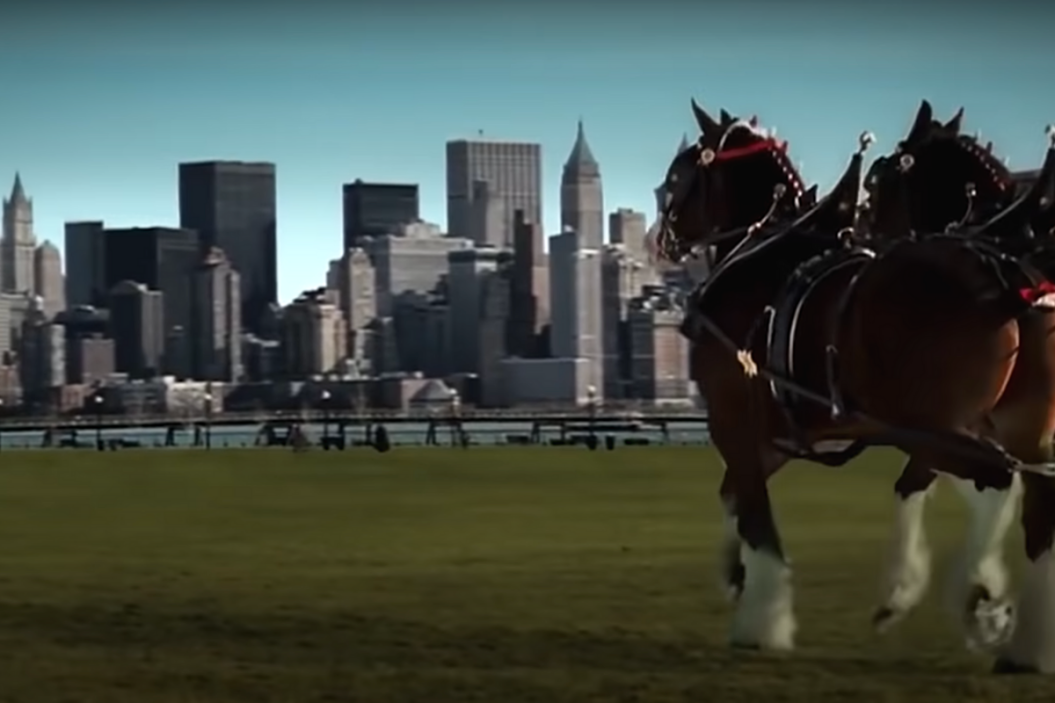 Budweiser 9_11 Commercial