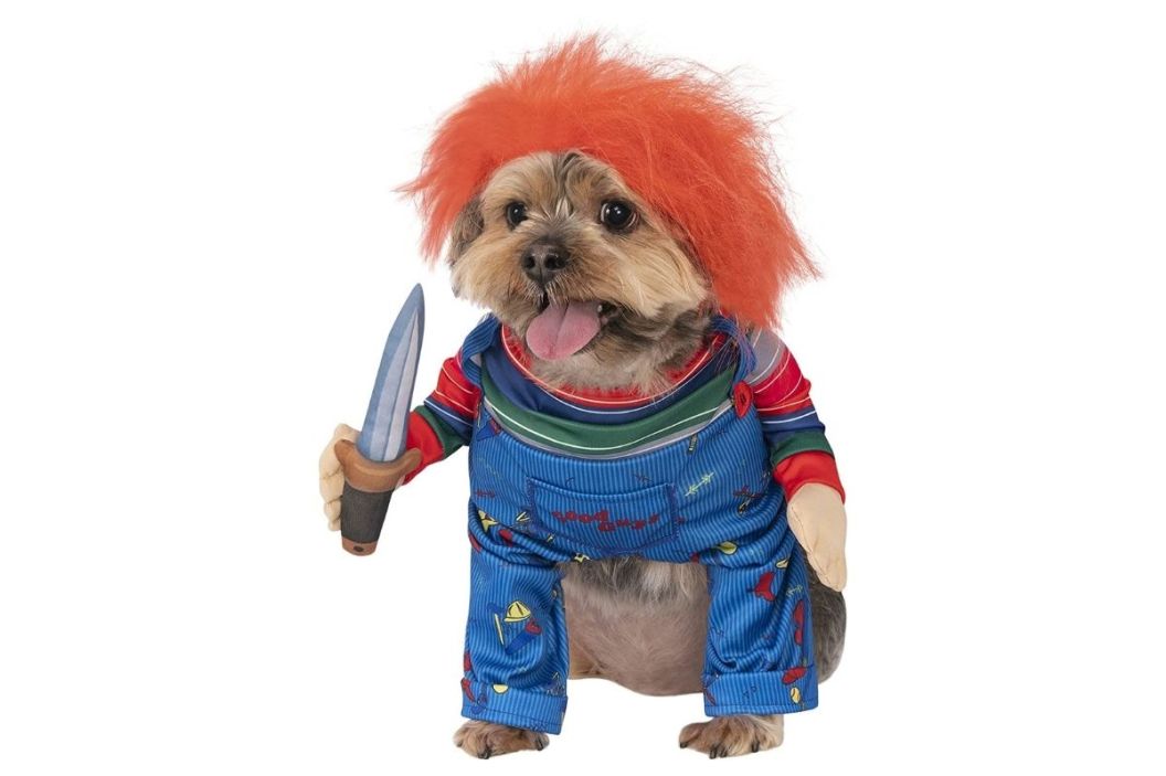 dog halloween costume