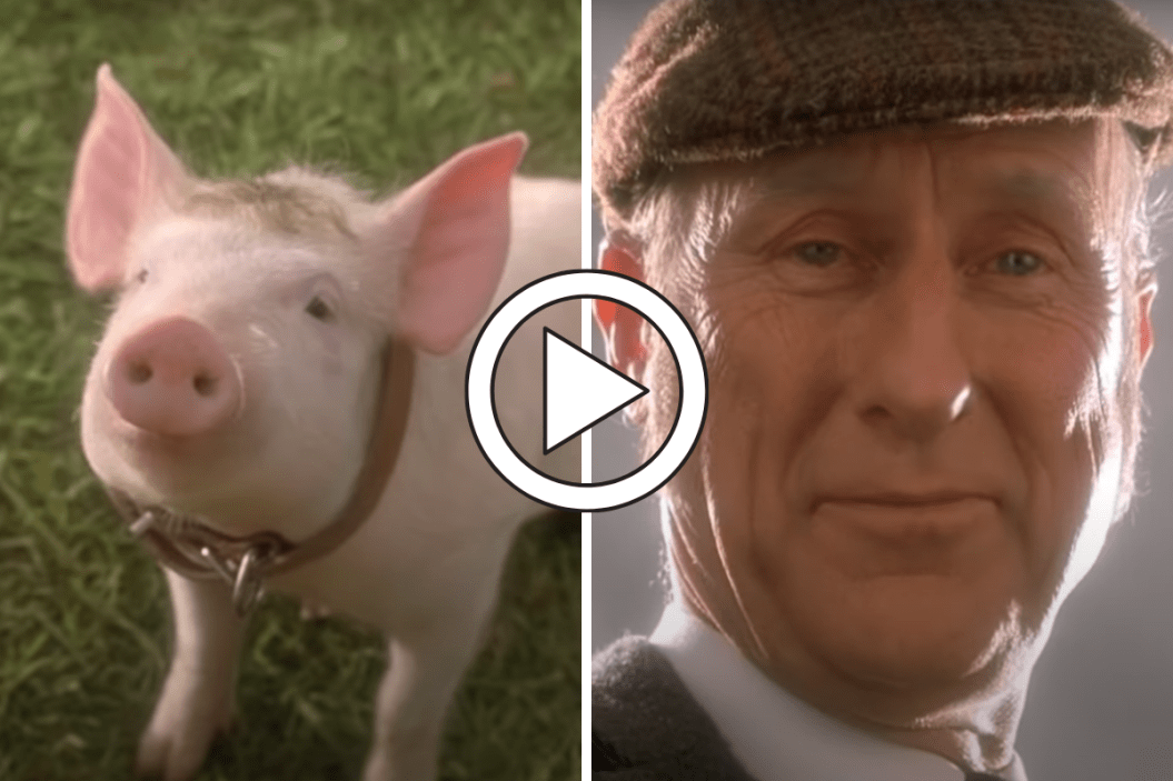 Babe, That'll Do Pig