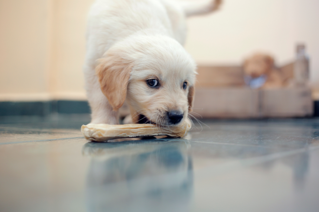 non rawhide bones