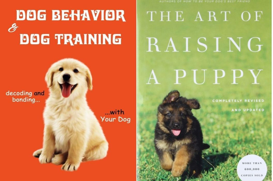 dog training books