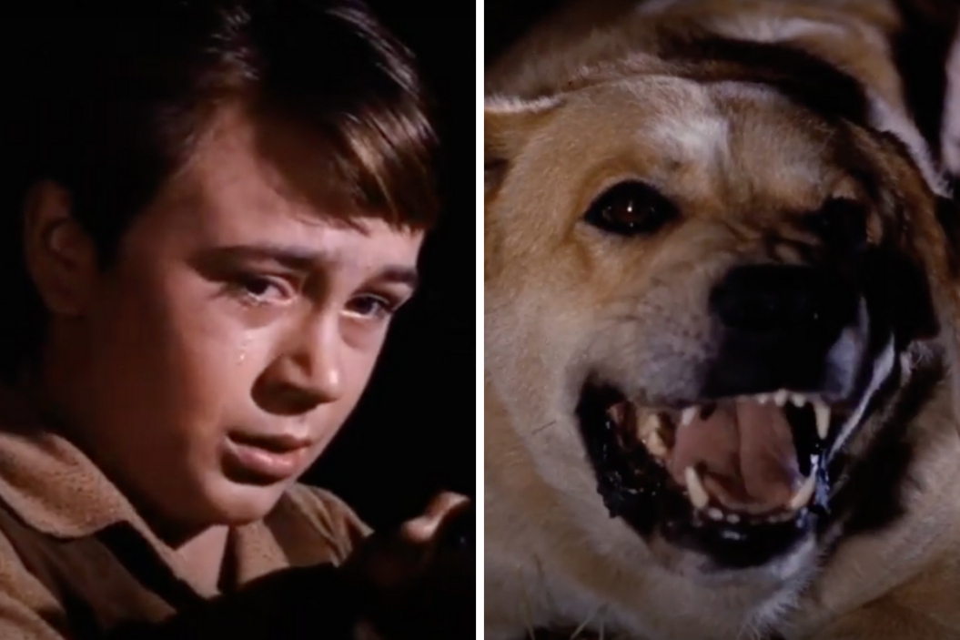 Old Yeller Ending Scene