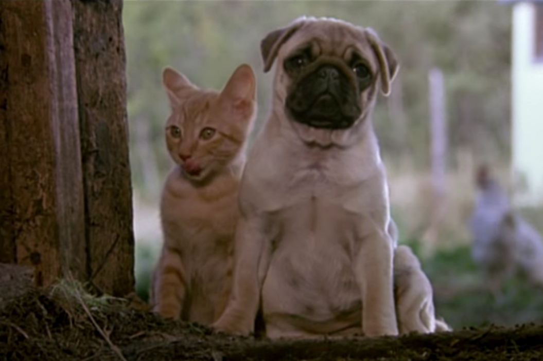 The Adventures of Milo and Otis