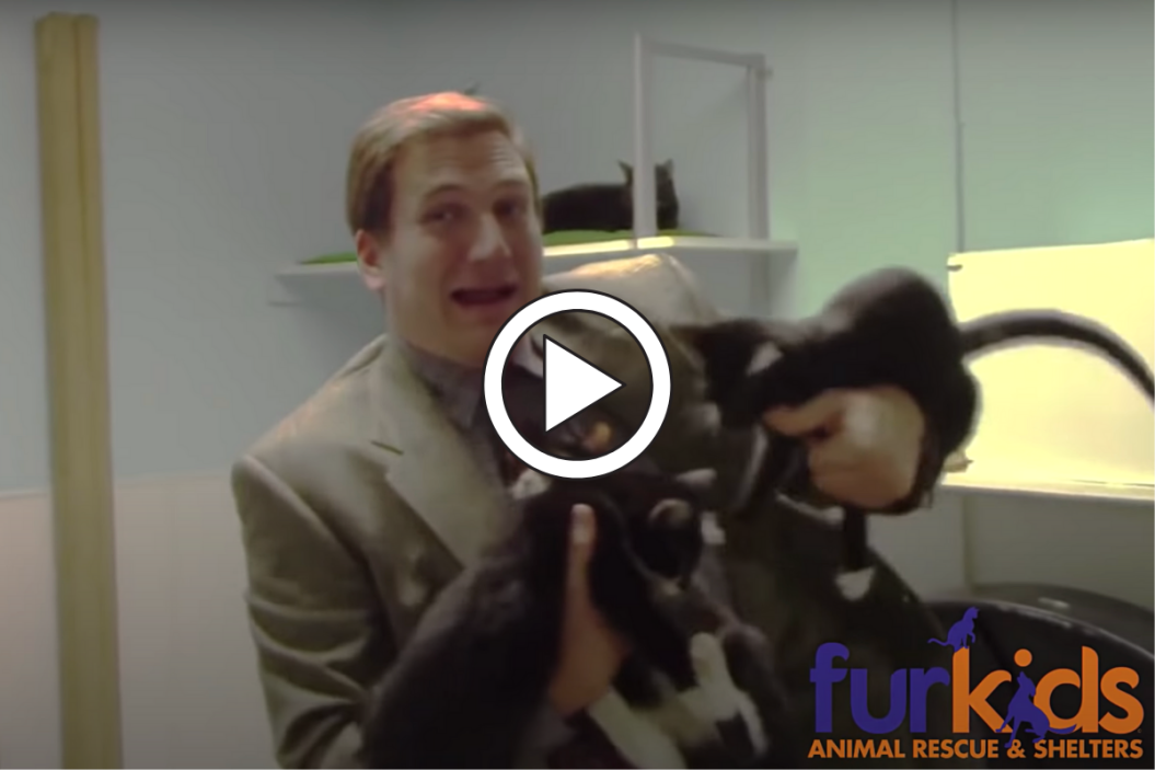 Fur Kids Kitty Commercial