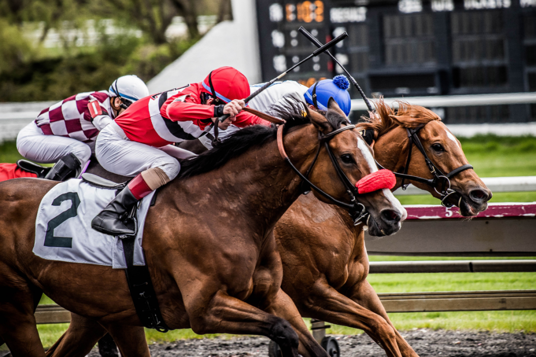 Horses run at a racetrack.