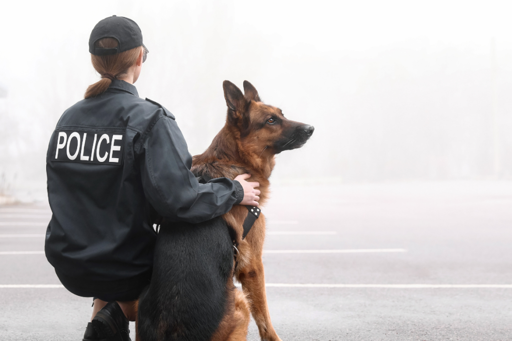police dog breeds