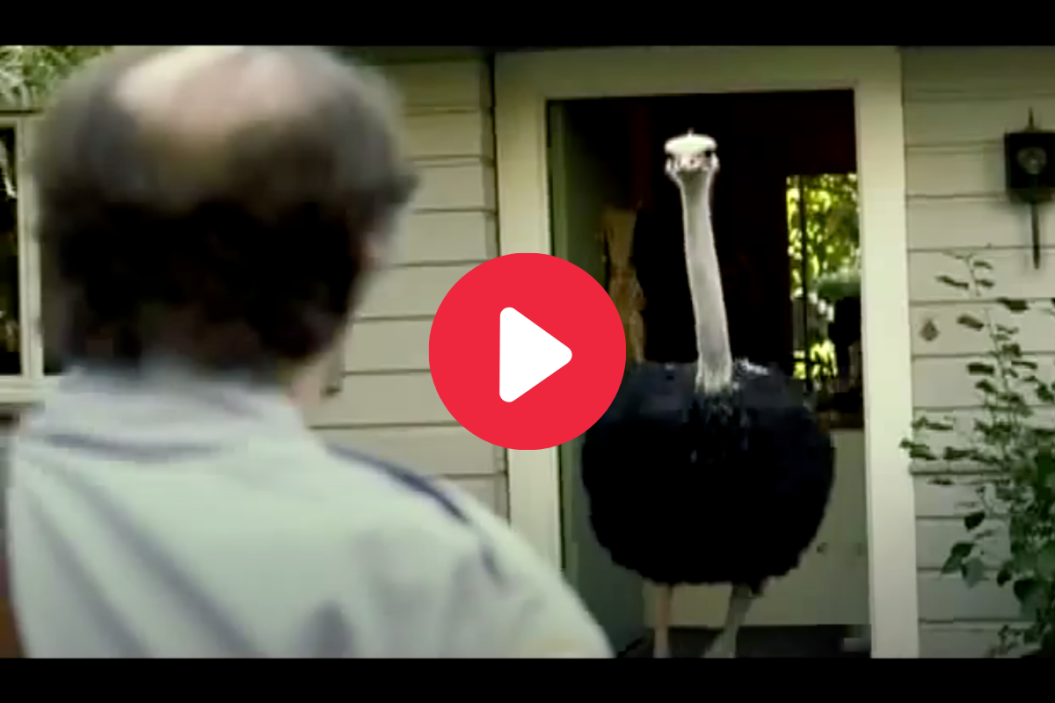 Pedigree Super Bowl Commercial