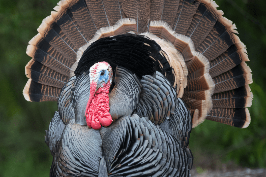 Quit Cold Turkey