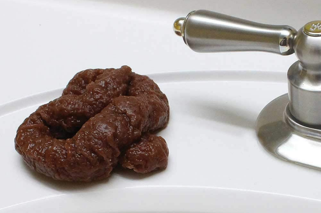 Dog Poop Soap
