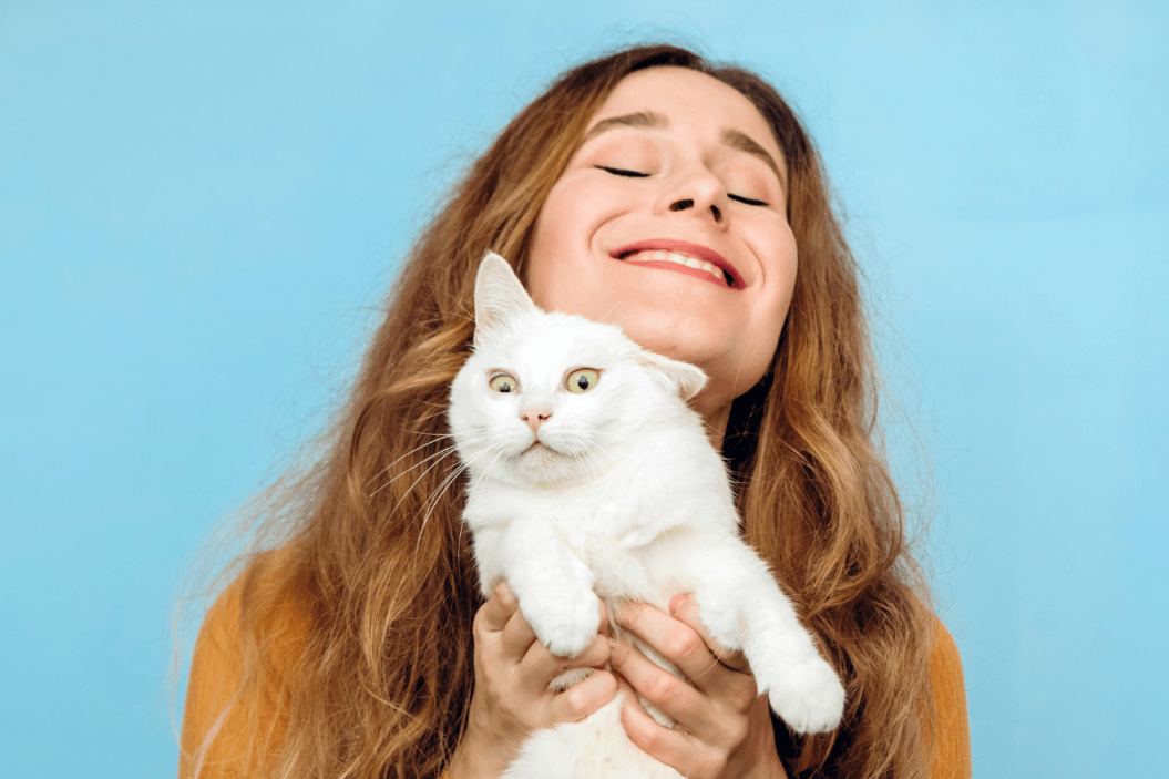 Person awkwardly picks up a cat.