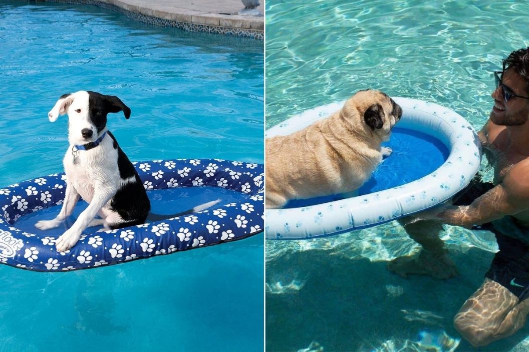 dog pool float