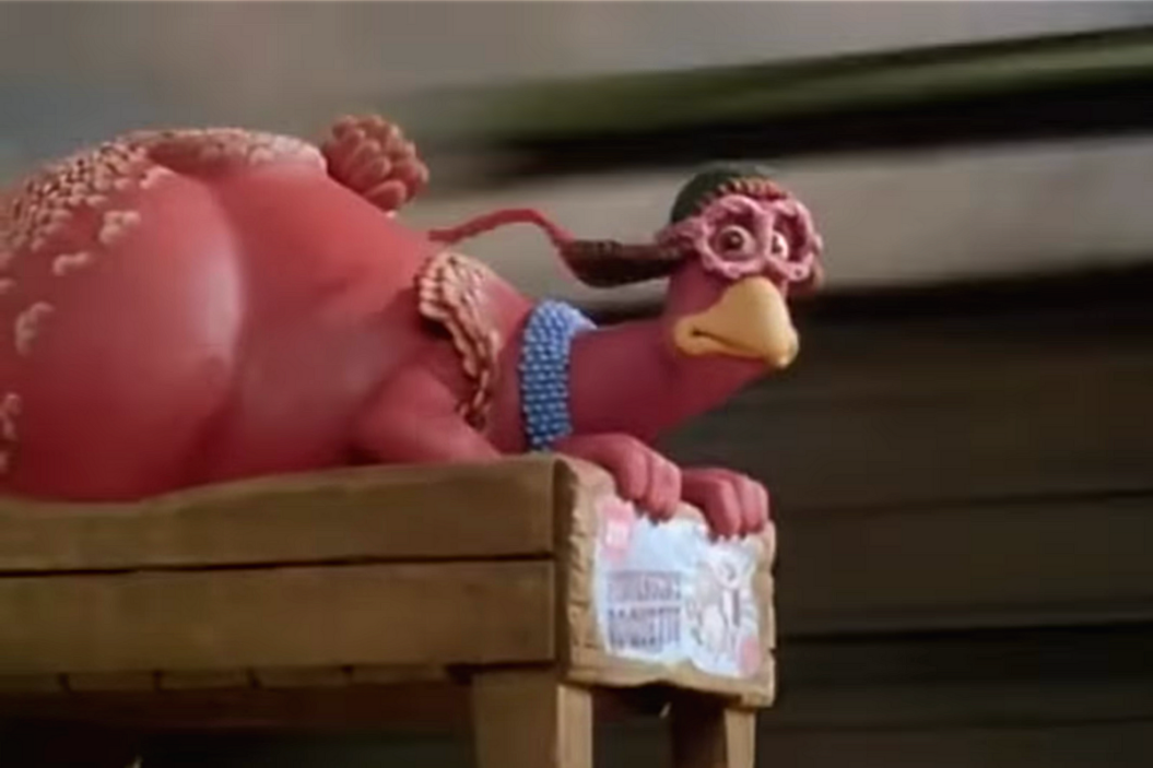 Can chickens fly? We explore why these birds remain grounded.