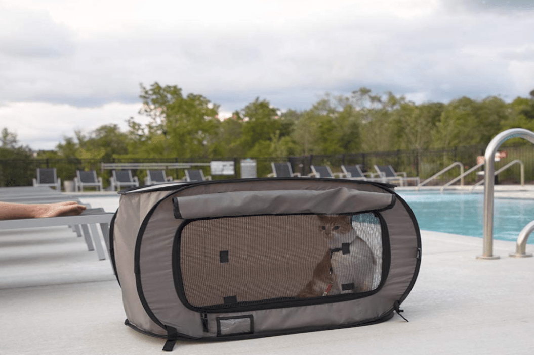 Cat Kennel Feature