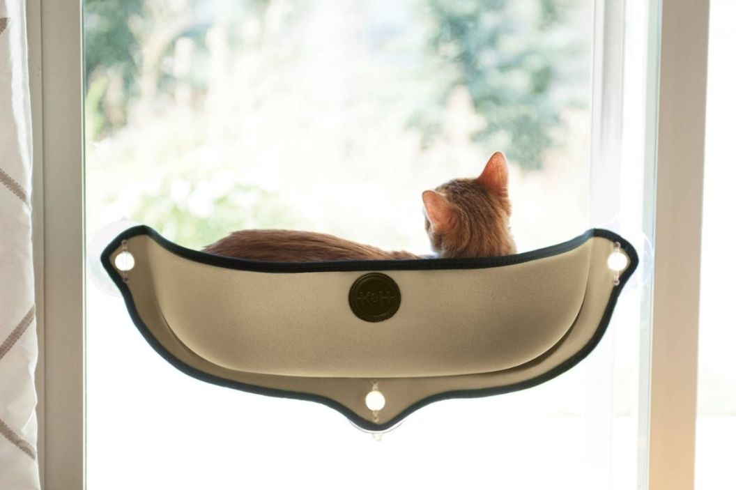 cat window perch