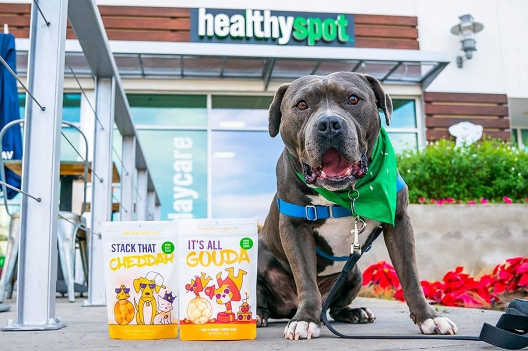cheese for dogs