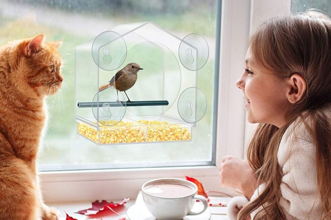 window bird feeder