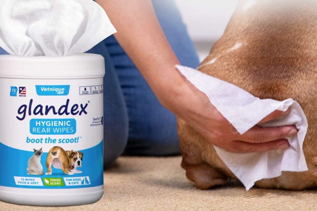 wipes for dogs
